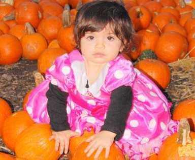 Spooky happenings reported at Owl’s Head Pk