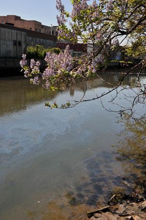 Gowanus Canal’s toxic ‘tsunami’ %A0