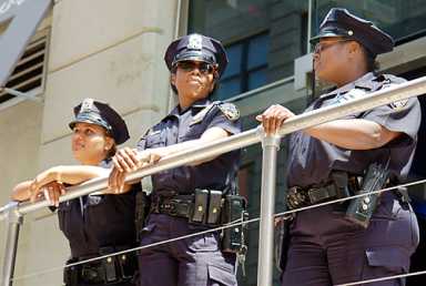 Nabes took a real bite out of crime this year