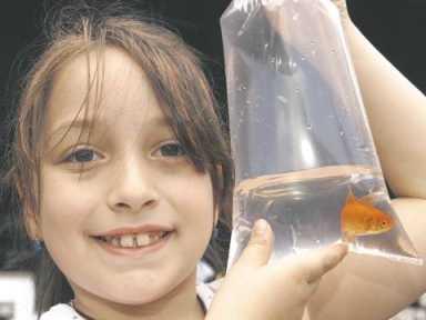 Mardi gras creates smiles on Avenue M