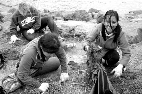 Spring spruceâˆ’up at Brooklyn Bridge Park