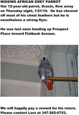 Help find this missing bird!