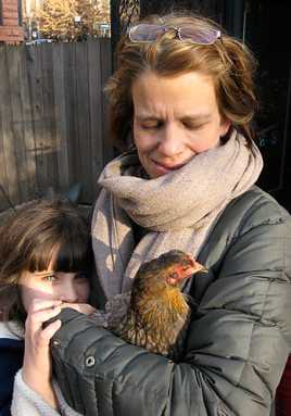 Fowl play? A chicken has flown the coop on First Street