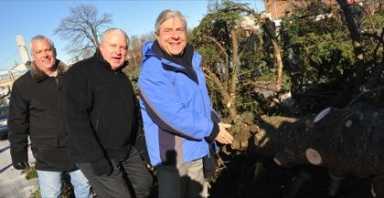 Where Yule logs go to mulch in Brooklyn