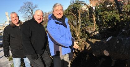 Where Yule logs go to mulch in Brooklyn