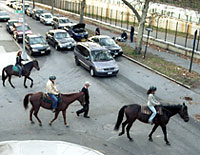 HORSE-WHIPPED!