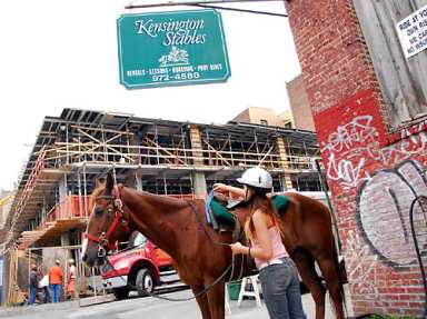 Horses: ‘Neigh’ to development