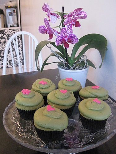 More cupcakes are coming