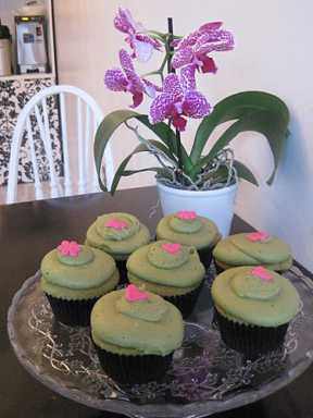 More cupcakes are coming