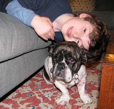 Sweet as Sugar! Bulldog is found — with our help