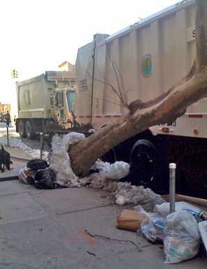Garbage truck in arborcidal attack in Park Slope!