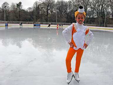 Thin ice! Park skaters out for two years as rink rehab begins