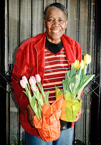 Lock up your daisies! There’s a flower thief on the loose!