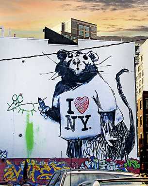 ‘Street’ news! New book celebrates the work of graffiti artists