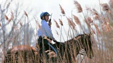 Search for missing boy reaches desparate levels