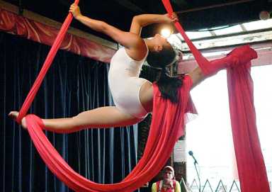 Brooklyn is circus maximus this summer!