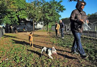Dogged determination, and hope from Obama, brings pooch playground closer to reality