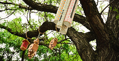 This art project is for the birds — literally!