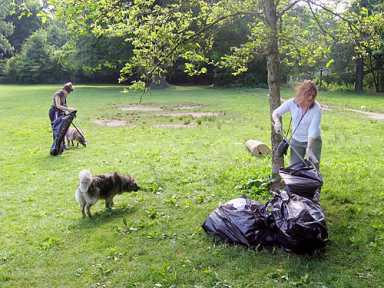 Dog day after strewn! Garbage, charcoal in Prospect Park makes pet lovers livid