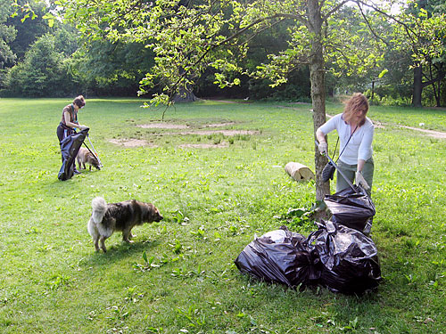 Dog day after strewn! Garbage, charcoal in Prospect Park makes pet lovers livid