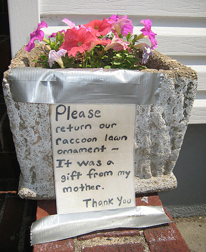 Help find Irwin, the stolen raccoon lawn ornament!