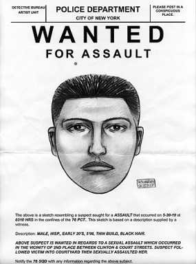Woman nearly raped on quiet Carroll Gardens street