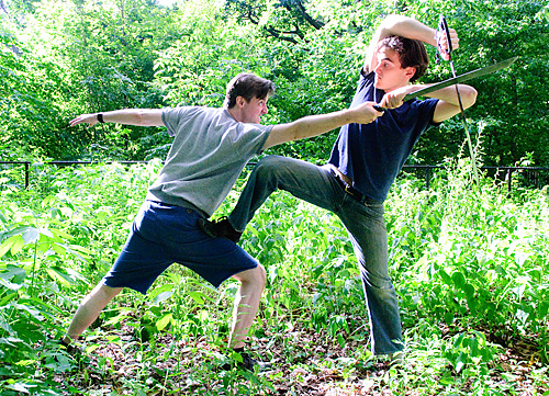 Bard in Bklyn! This summer, it’s Shakespeare in the (real) park