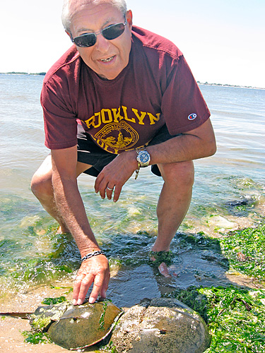 Sex god! Bklyn College doc loves a good crab orgy