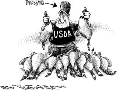 Roofus: Feds are the real birdbrains