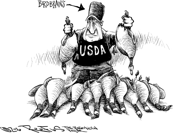 Roofus: Feds are the real birdbrains