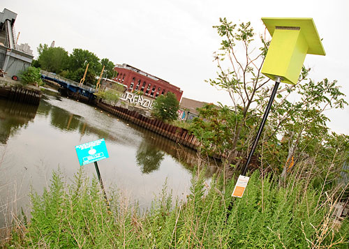 For the birds! Homes for our avian friends pop up all over the Gowanus
