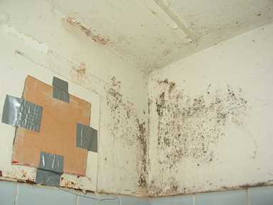 Housing project residents to city: Fix this mess!