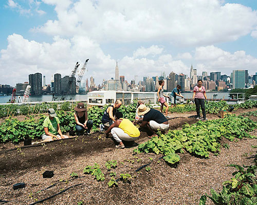 Big local food fest digs in this weekend!