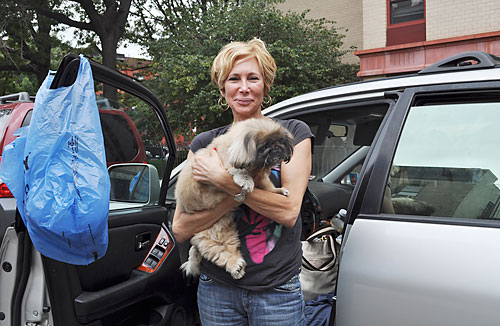 This dog had her day!
