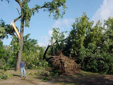 Wow, that was a crazy storm