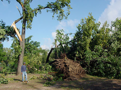 Wow, that was a crazy storm