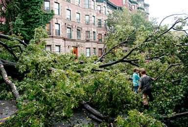 It was a tornado! Feds confirm what we already knew