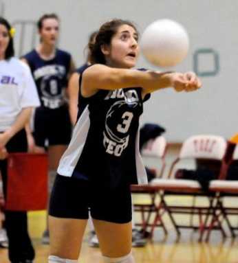 SAL Brooklyn girls volleyball preview: Engineers looking for someone to steer train