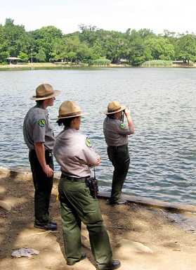 Park officials: We’ll save geese this time