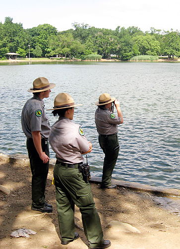 Park officials: We’ll save geese this time