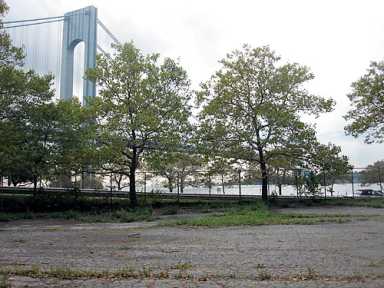 Bay Ridge going to the dogs at Shore Road Park