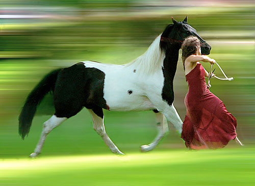 Horsing around! Equus Projects puts the gallop back in dance this Saturday