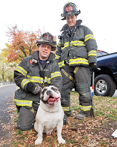 Exciting dog rescue on Ocean Parkway