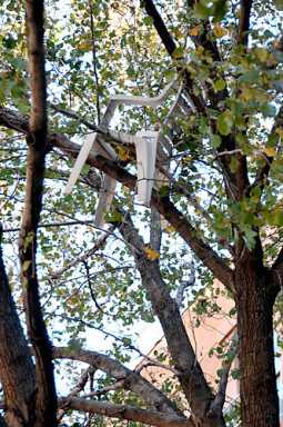 Up a tree! Chair has been stuck in branches since tornado