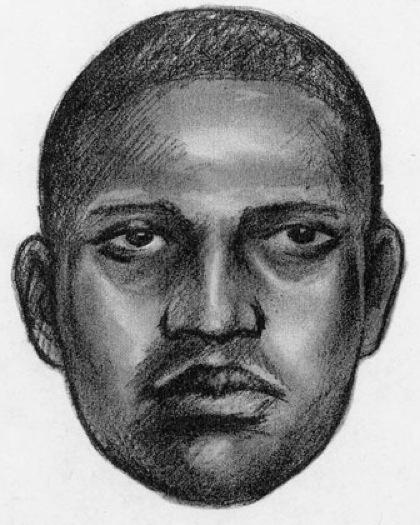 Cops hunt serial rapist