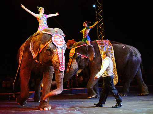 Circus coming to town! Ratner, Ringling ink deal at Barclays Center