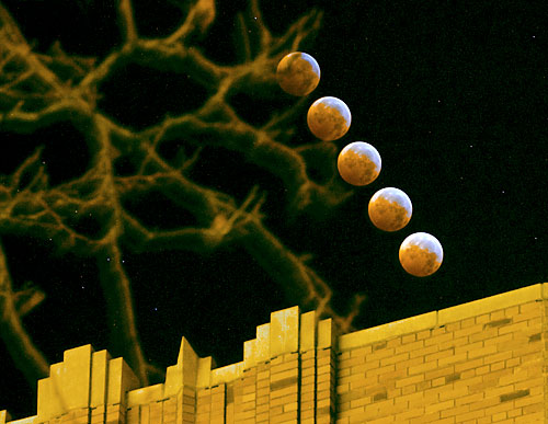 It’s lunar-cy as our shutterbug captures eclipse