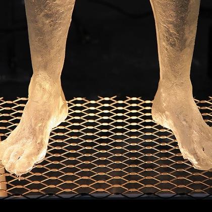 A real festival of light at Invisible Dog