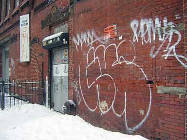 Couple facing jail for creating a fetid feline prison in Williamsburg