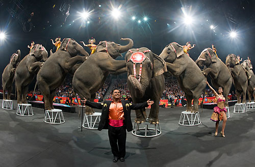 Ringling Bros. folds up its tent at Coney Island